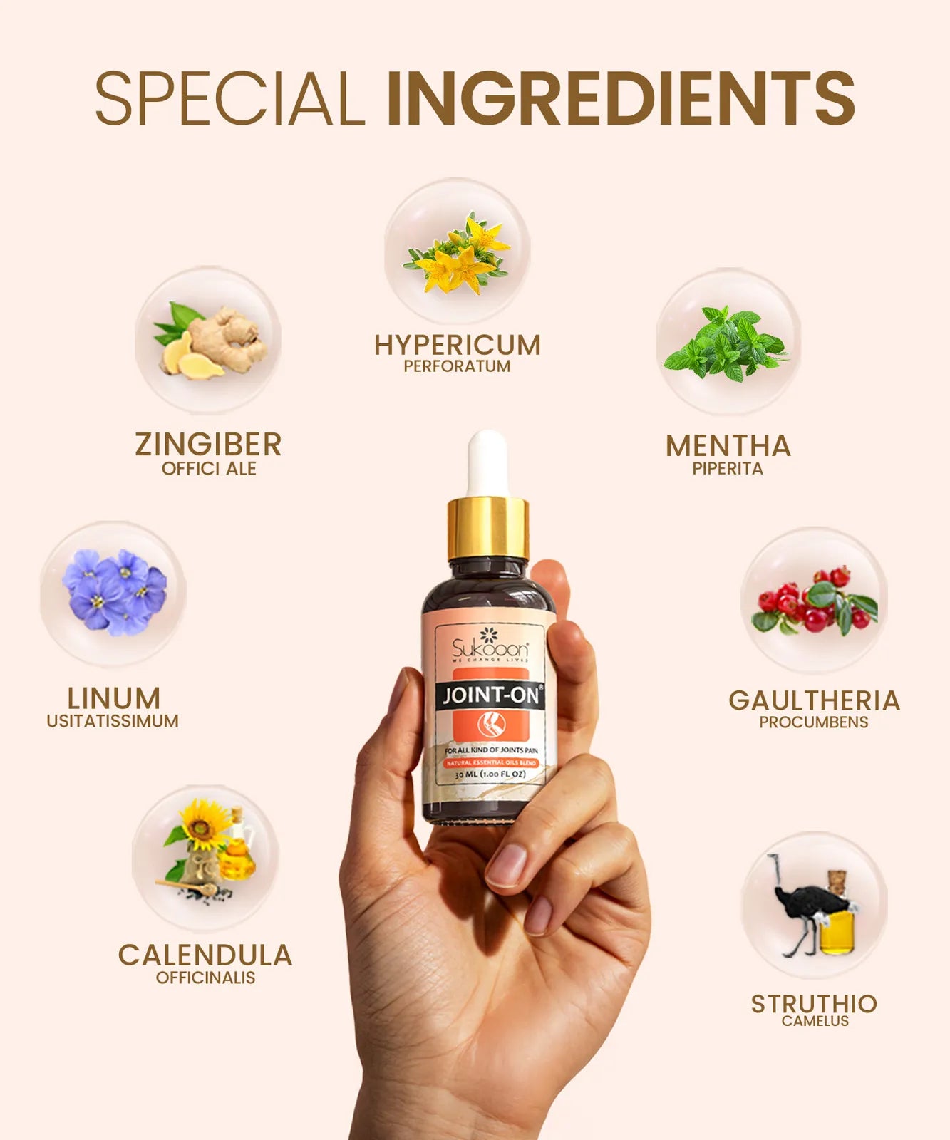 Oil For Joints, Knee & Back Pain